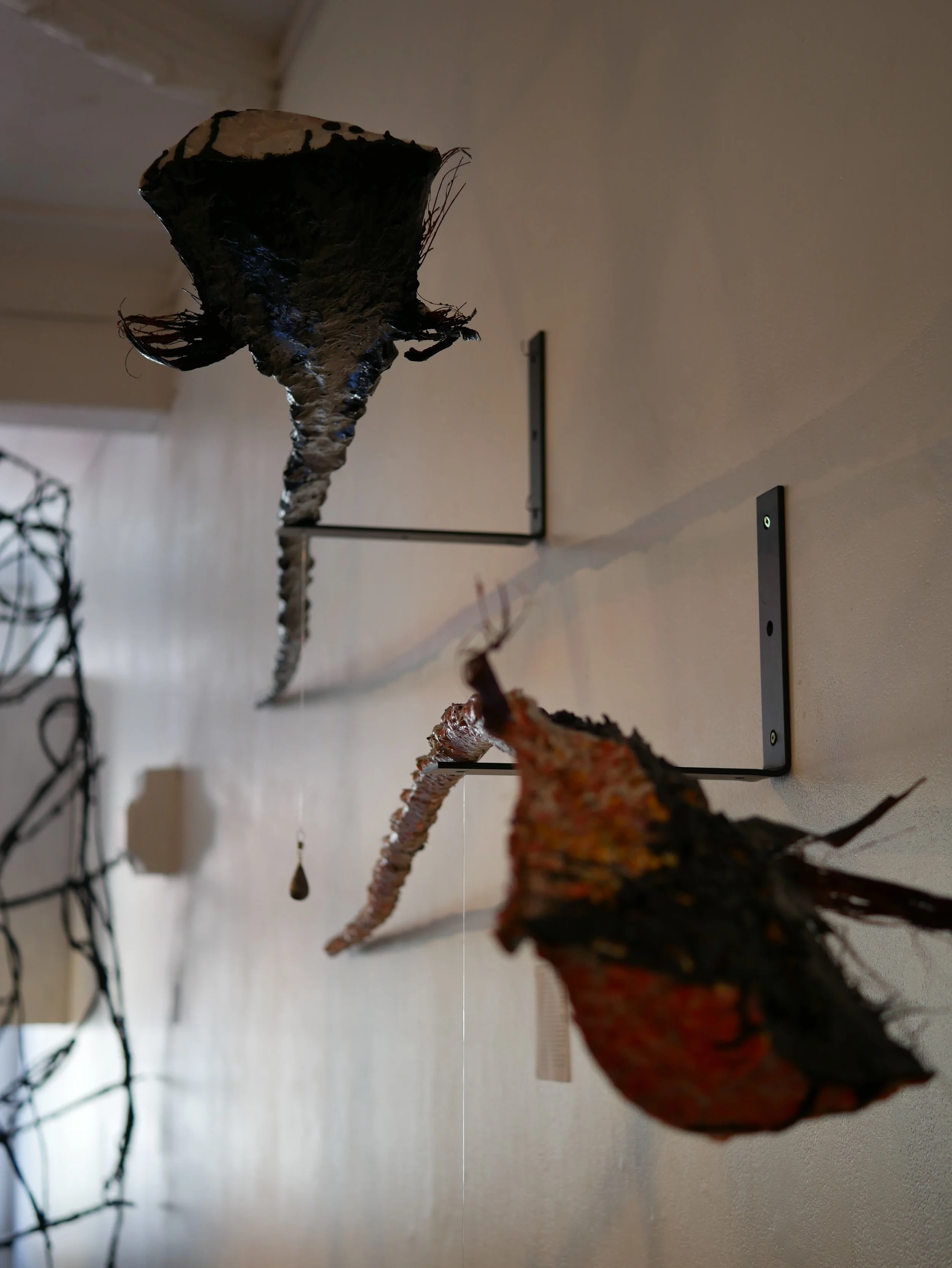 P1000059.jpg