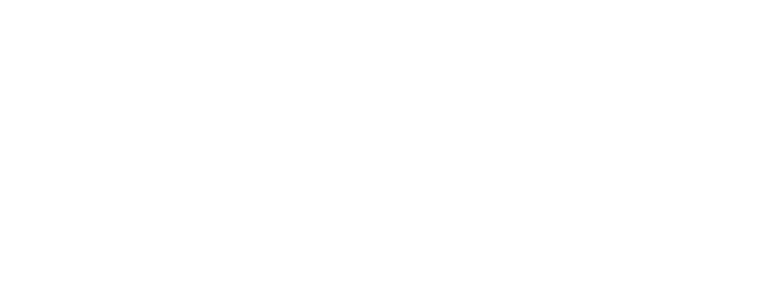 Bridge CFO Services LLC