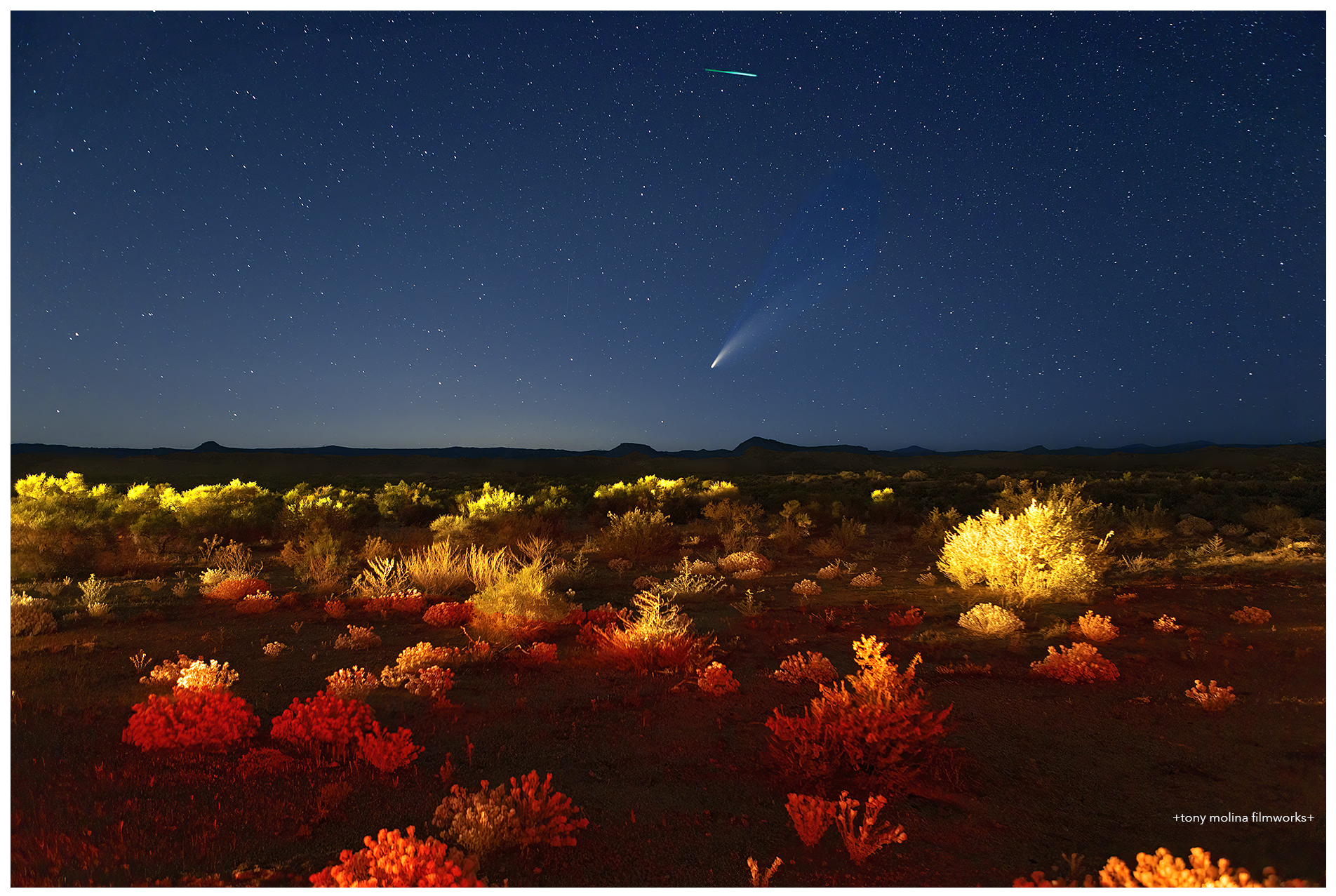 Comet 2020 (c) tony molina filmworks.png