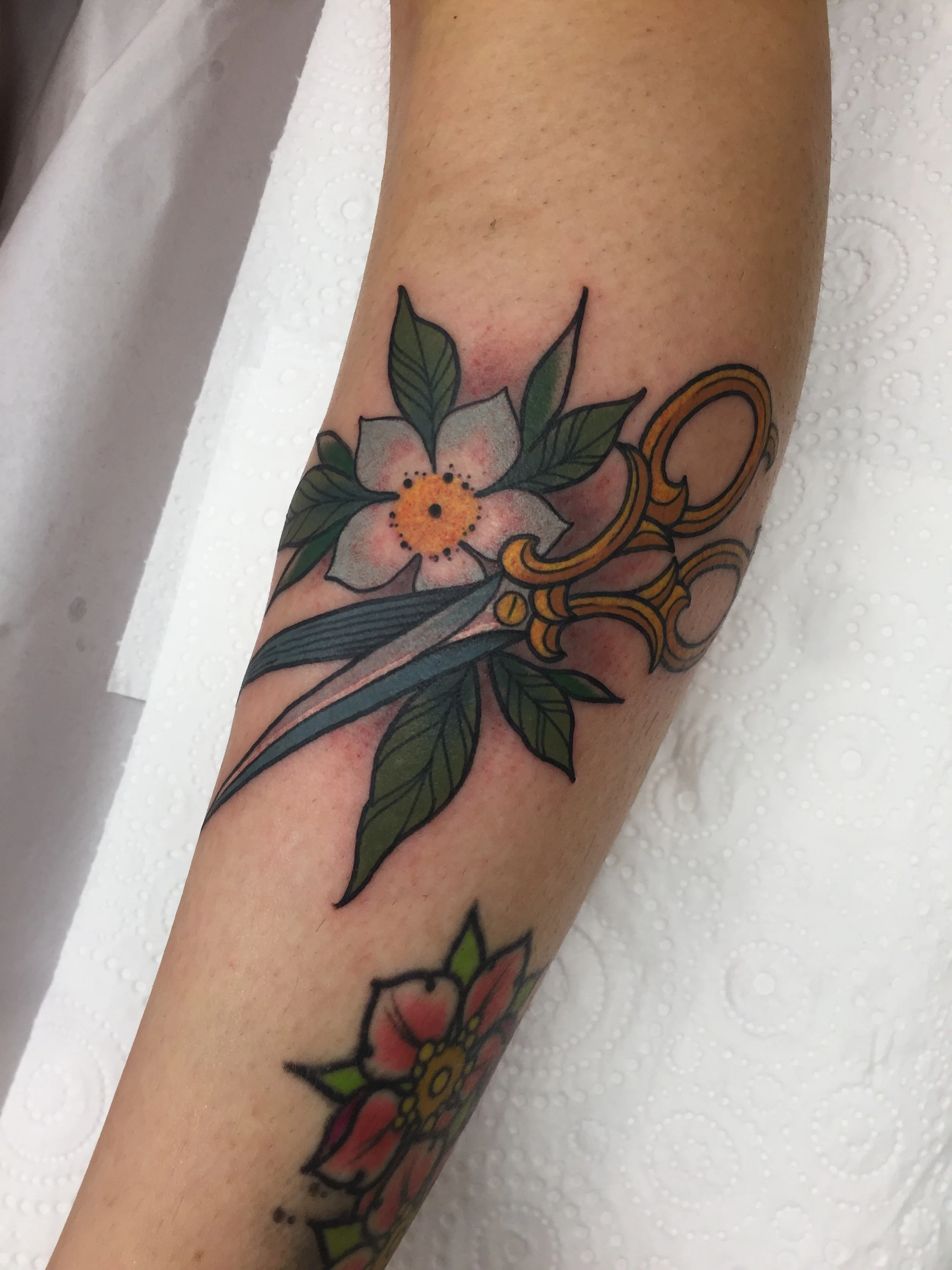 Tattoo Artist Wellington NZ Price Sleeve Tattoo in Wellington