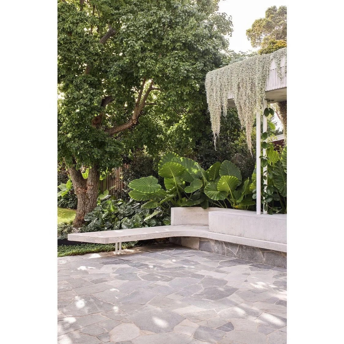 House on a Peninsular. 
The courtyard 

Built @buildbydesign.bbd 
Landscape @sitedesign_studios @amrocklandscapes_pools 
Engineered Steve Wheelan 
Photography @andymacpherson.studio 

#outsideliving #naturelovers #gardeningaustralia #concretebench #c