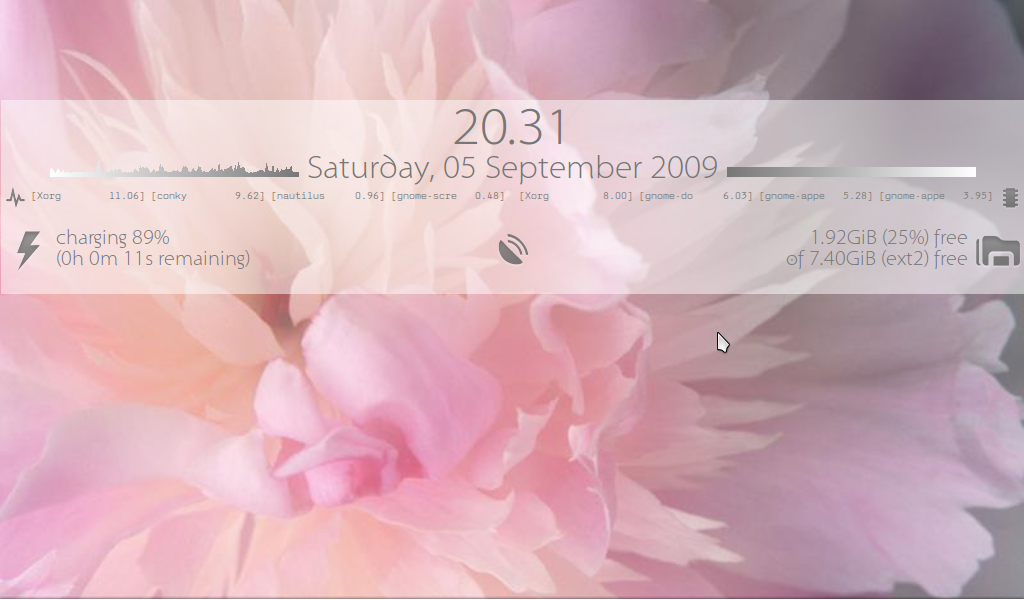 Screenshot Flower 050909.png