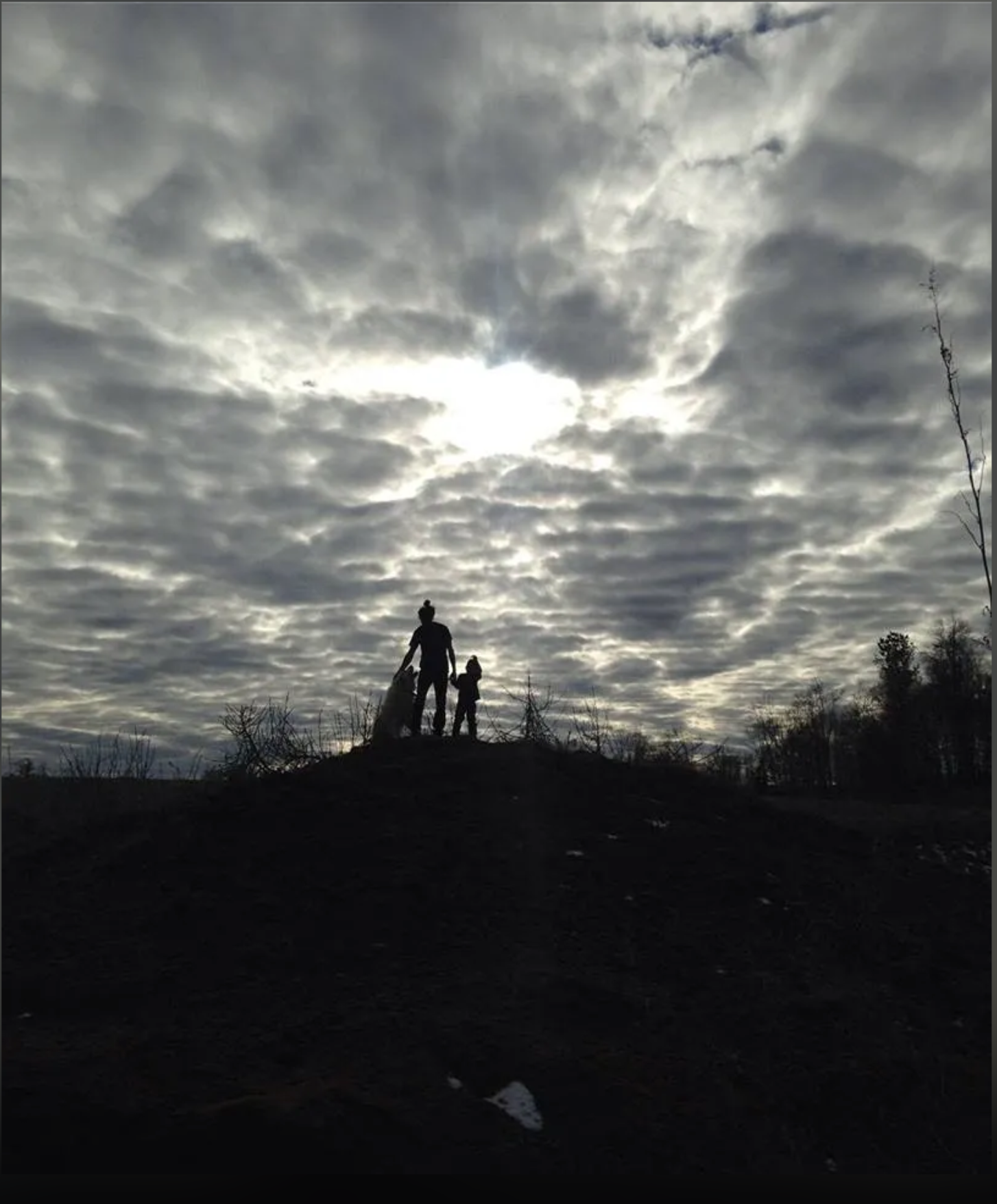 Screen Shot 2020-03-17 at 2.02.33 AM.png