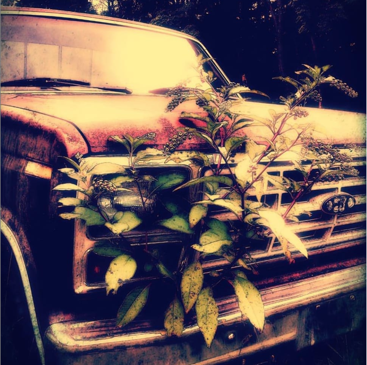 Screen Shot 2020-03-17 at 2.23.32 AM.png