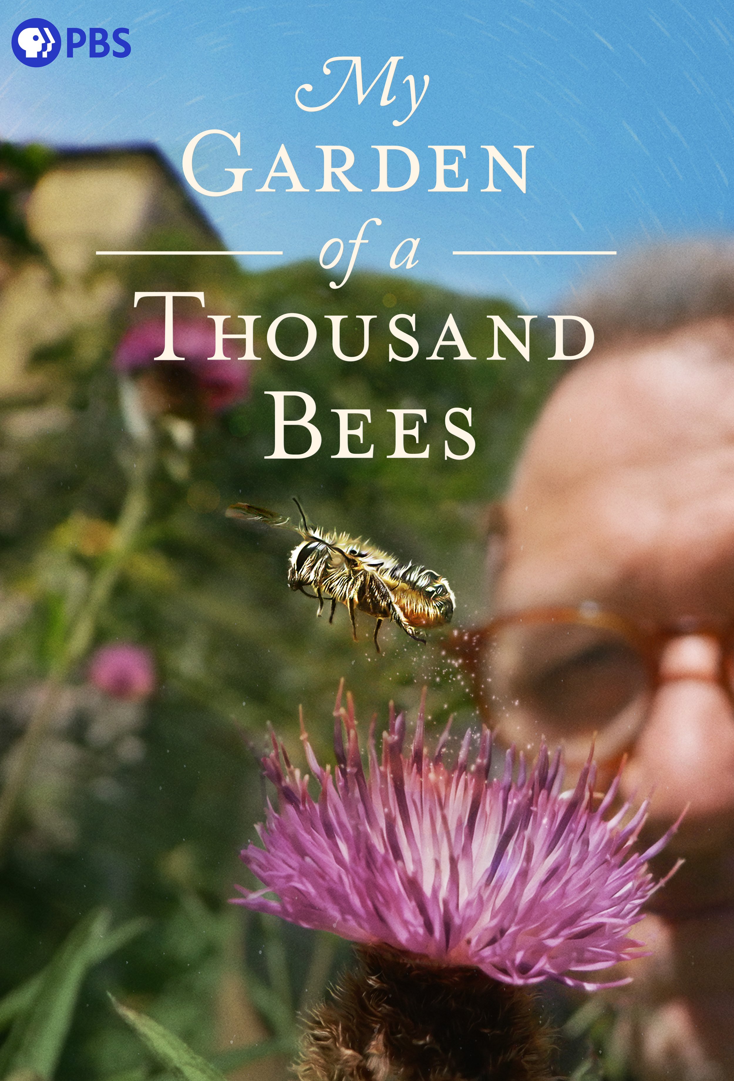 My Garden of 1000 Bees 27x40.jpg
