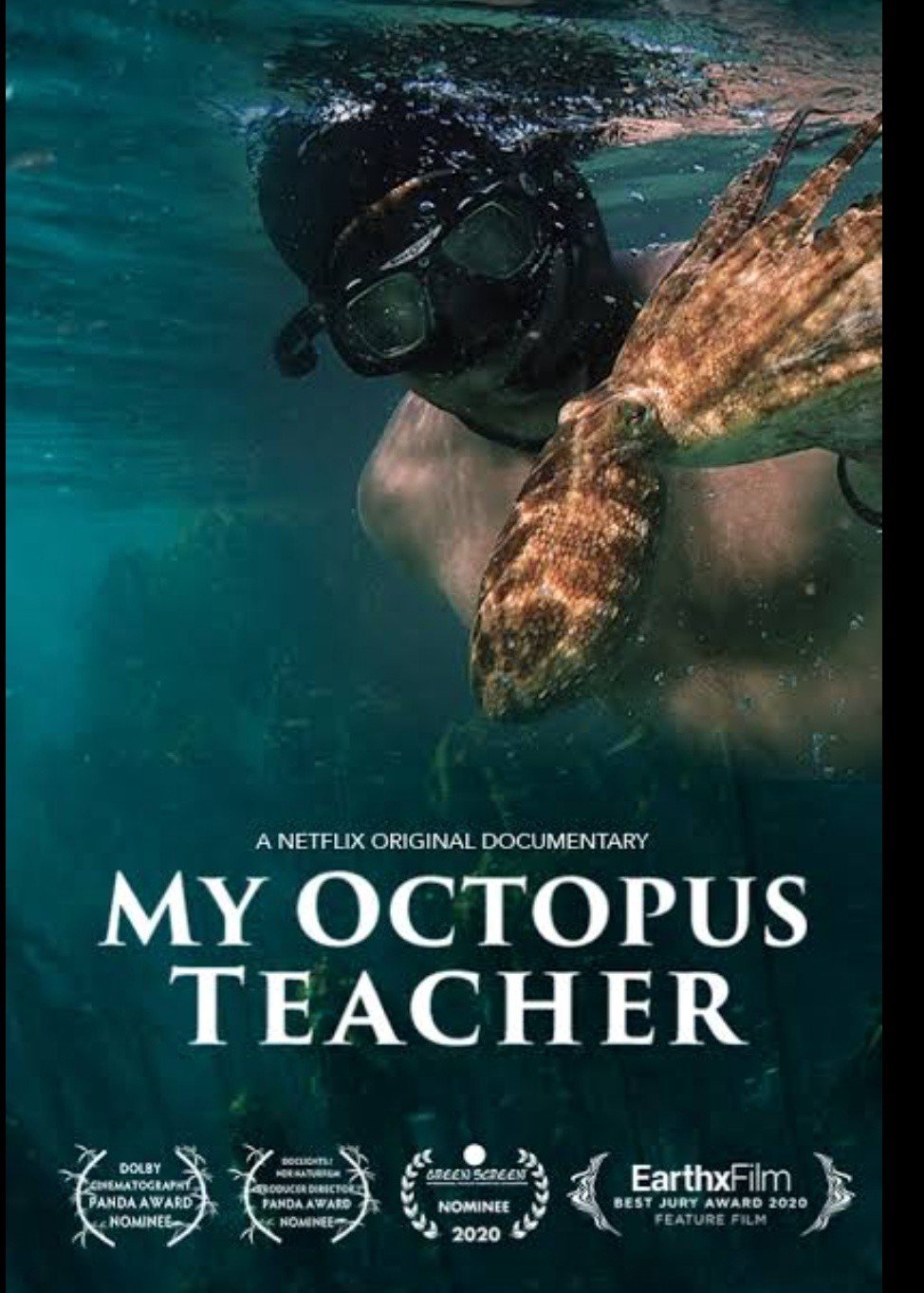 my octopus teacher.jpeg