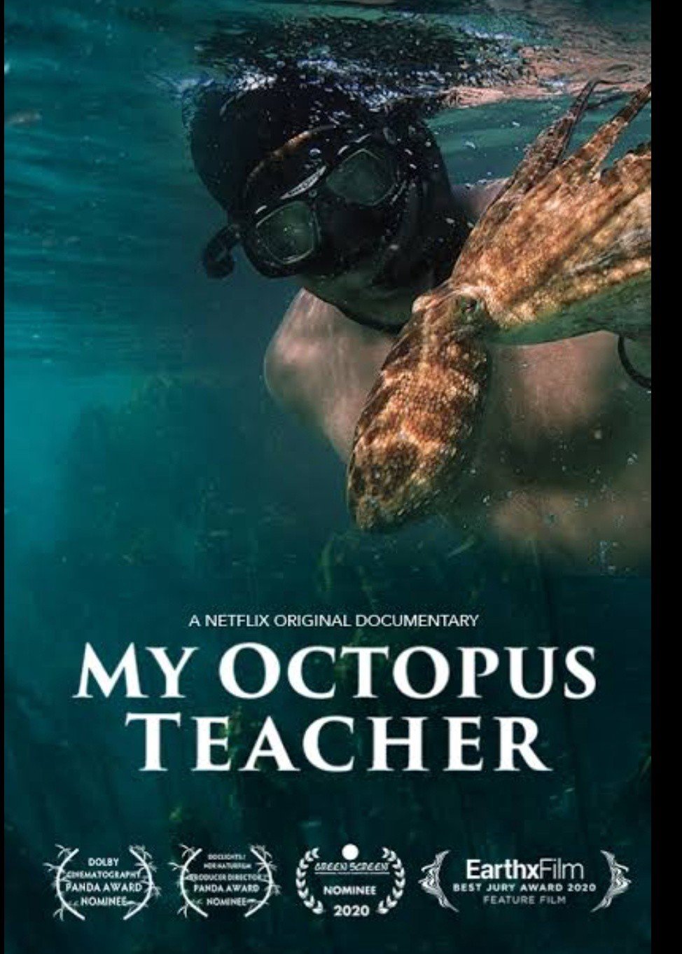 My Octopus Teacher