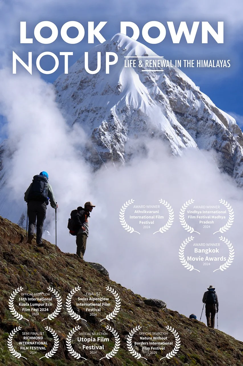 Look Down Not Up Poster - Vertical.jpg