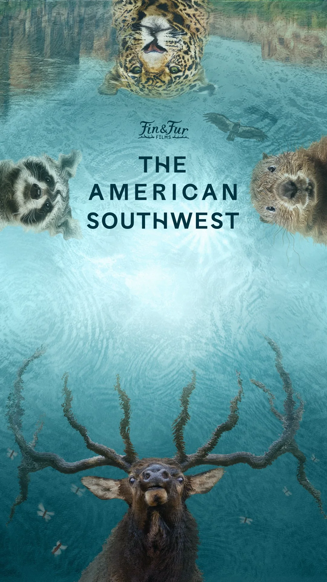 AmericanSouthwestPoster.jpg