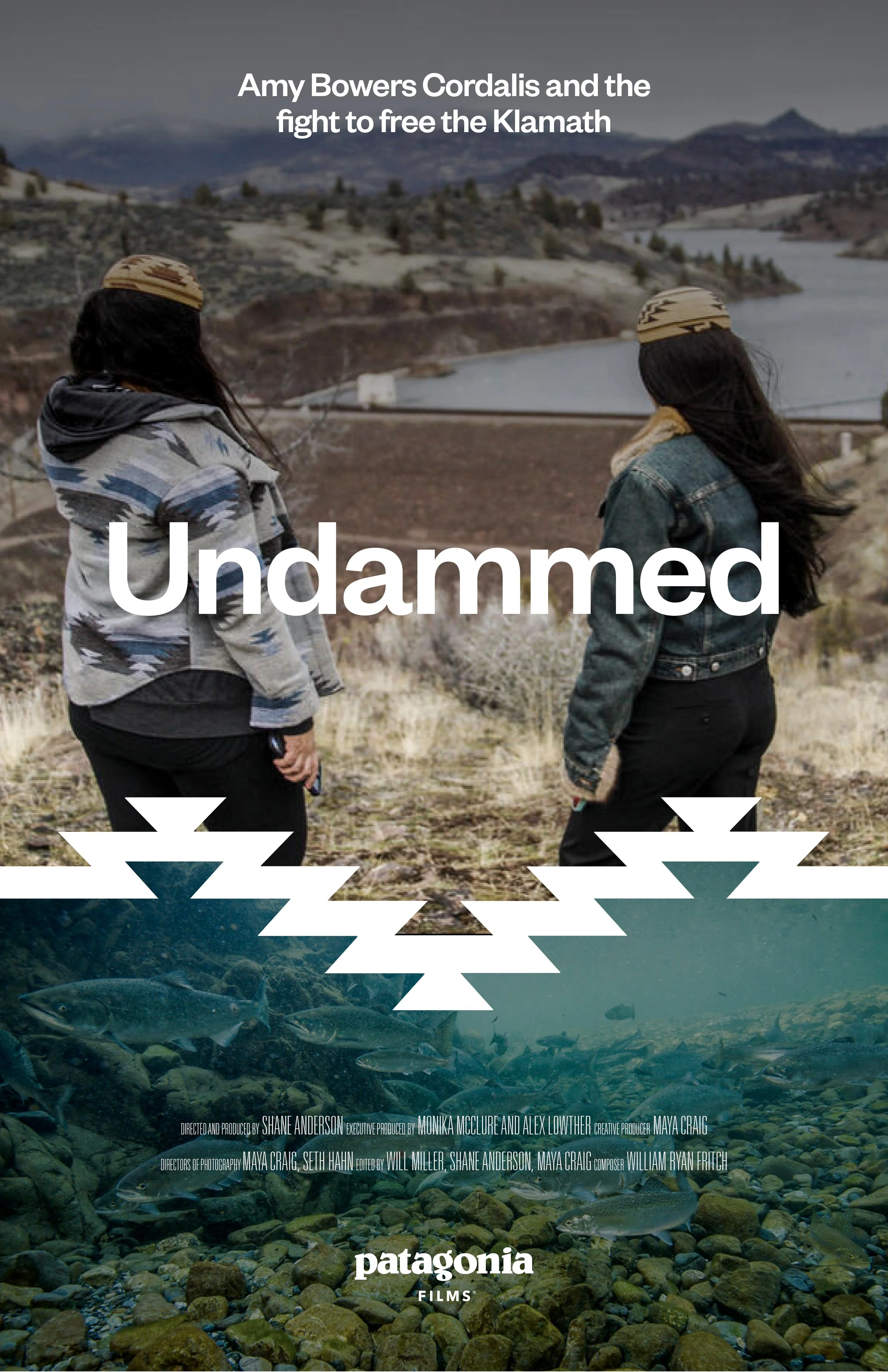 Undammed
