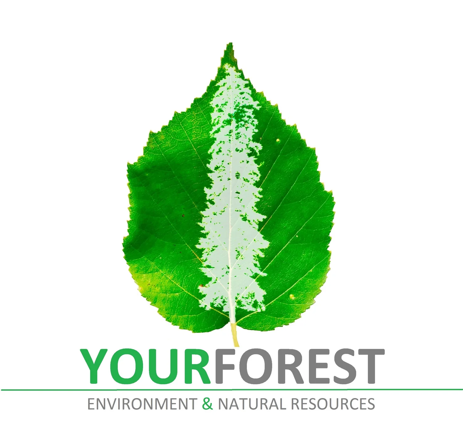 #1 - Public Forests with Derrick Kreger-Smith episode artwork
