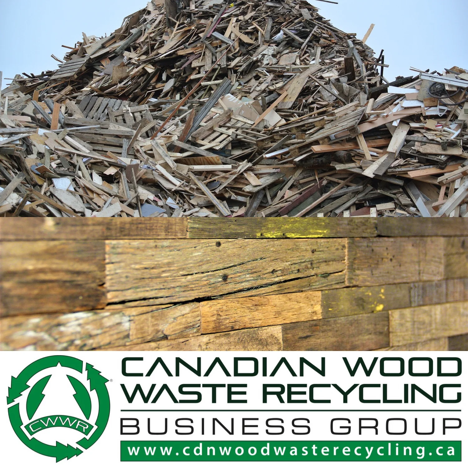 #47-Wood Waste Recycling with Jim Donaldson episode artwork