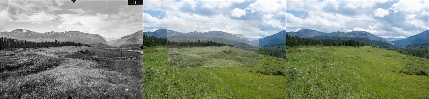 #48-Environmental History with Liza Piper episode artwork