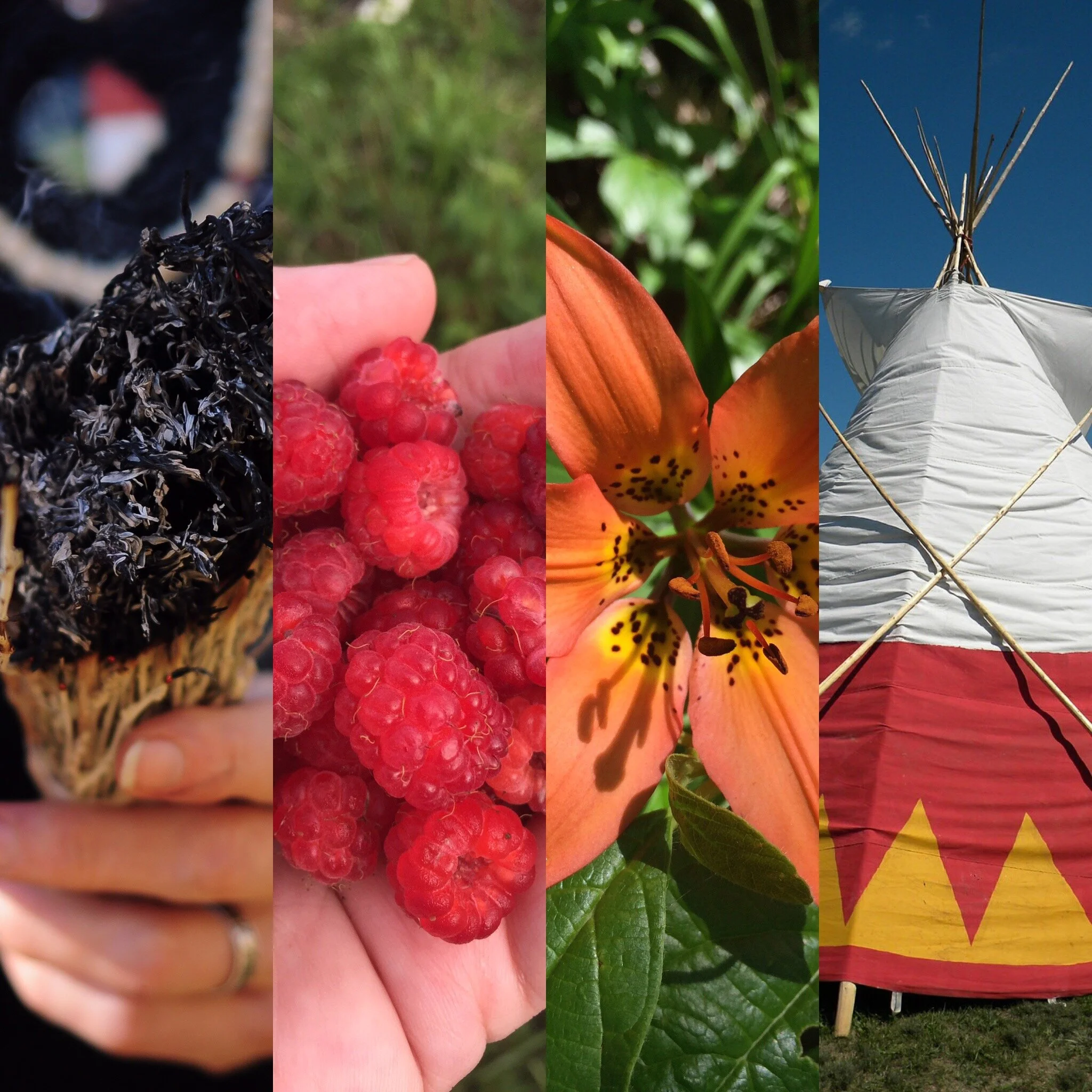 #76-Indigenous Consultation with Nathan Lauer