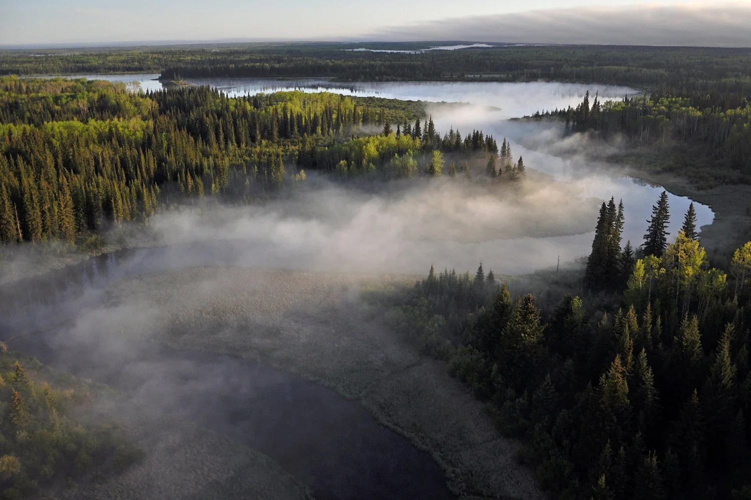 #81-Bogged Down with Ducks Unlimited: National Boreal Program episode artwork