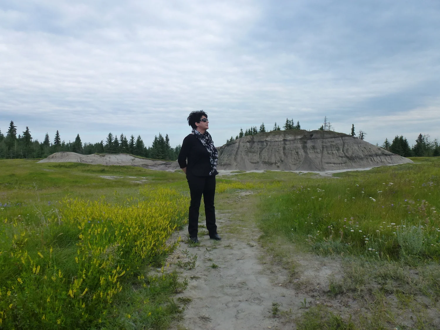 #104-Defining Land Reclamation with Anne Naeth episode artwork