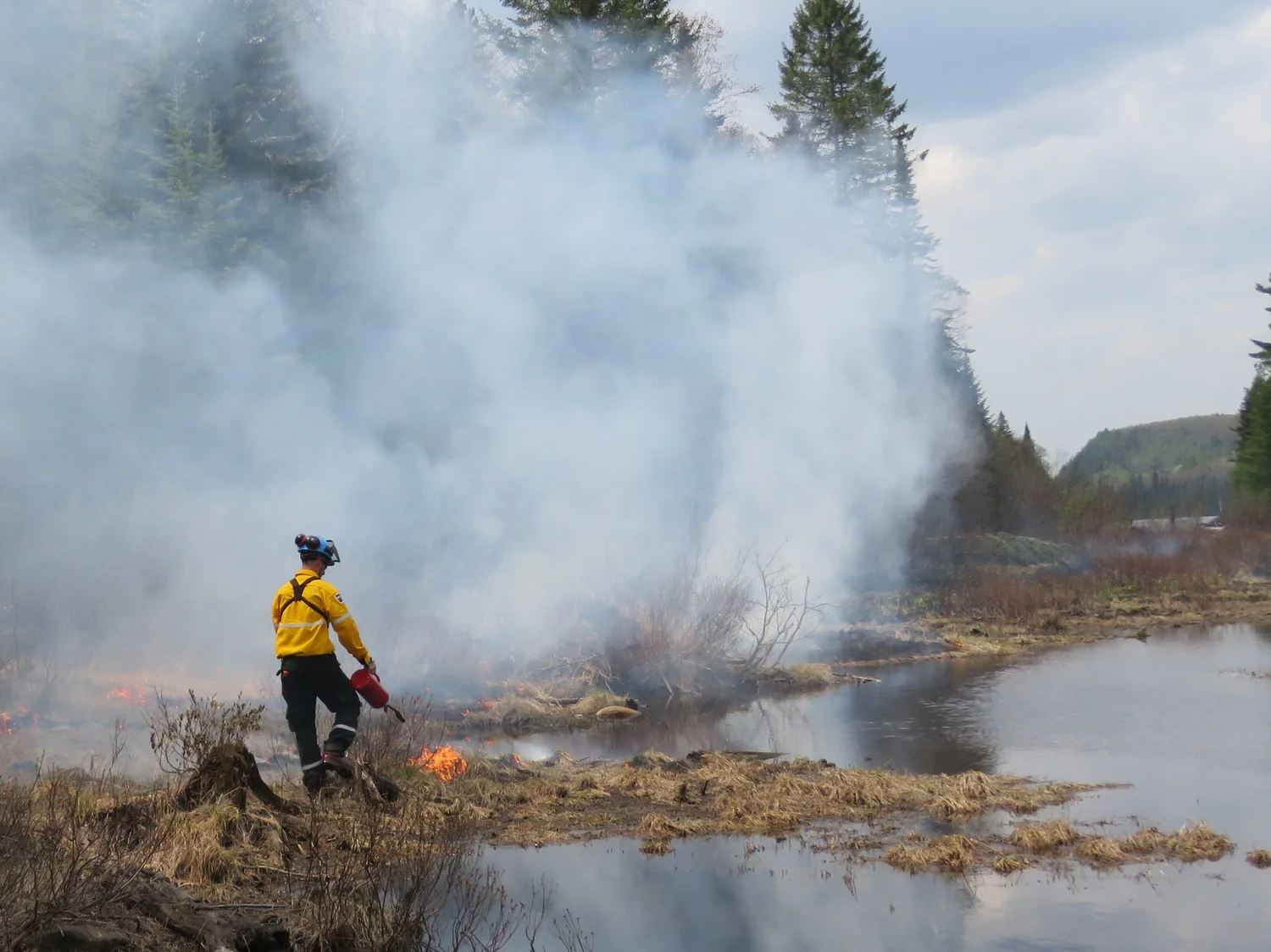 115 - Prescribed Fire In National Parks with Michel Thériault and Elisabeth Caron episode artwork