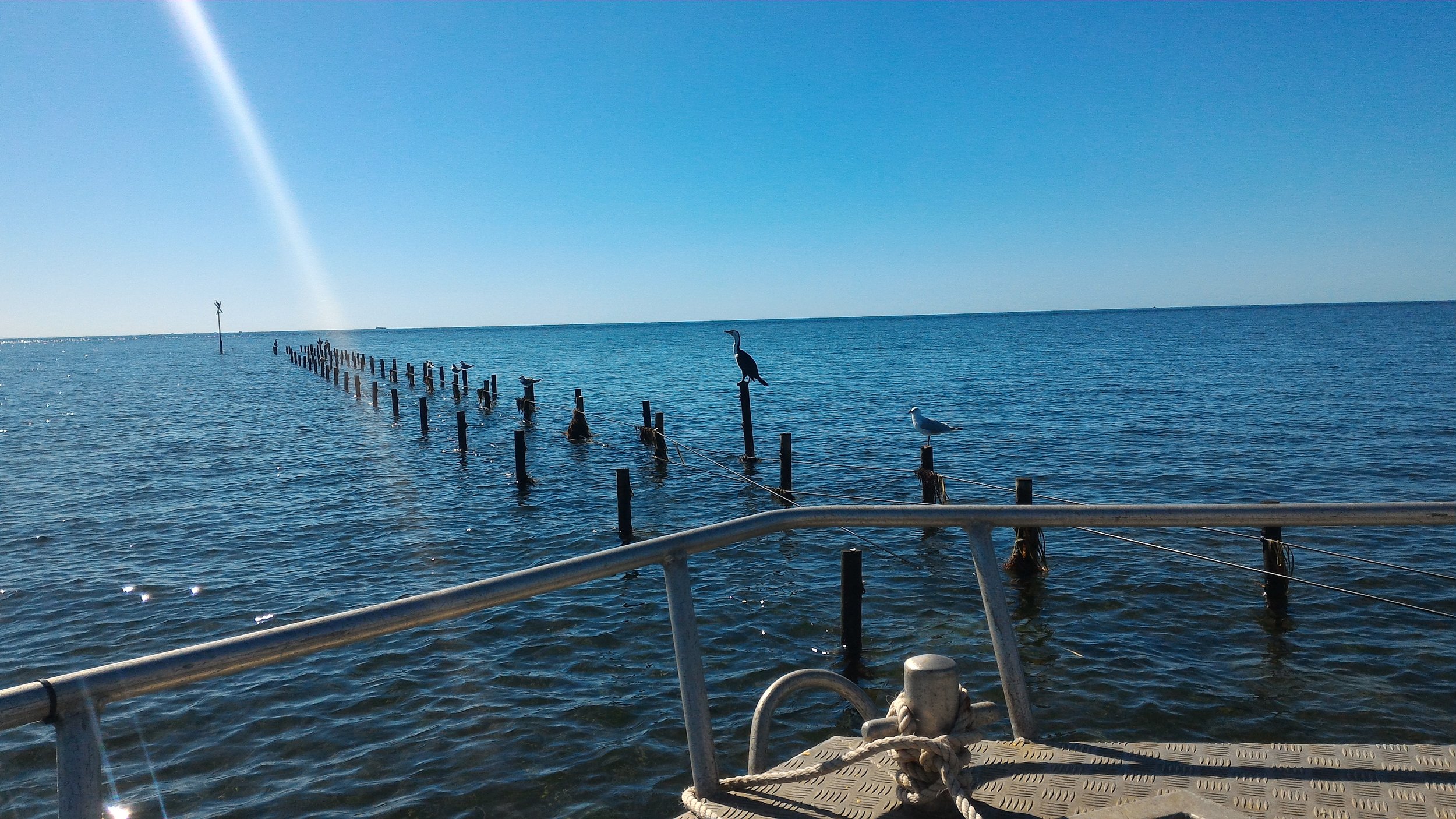 P_20151228_093230.jpg
