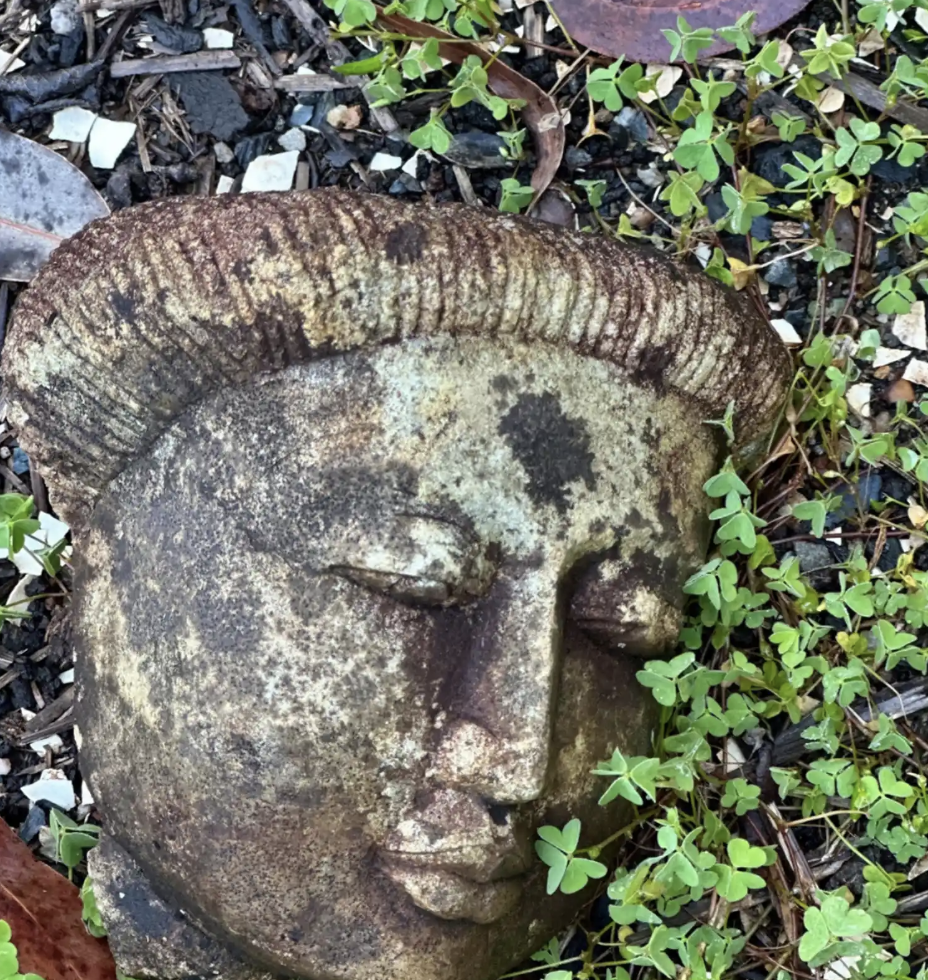 Waking Up with Serenity, Insight & A Boundless Heart