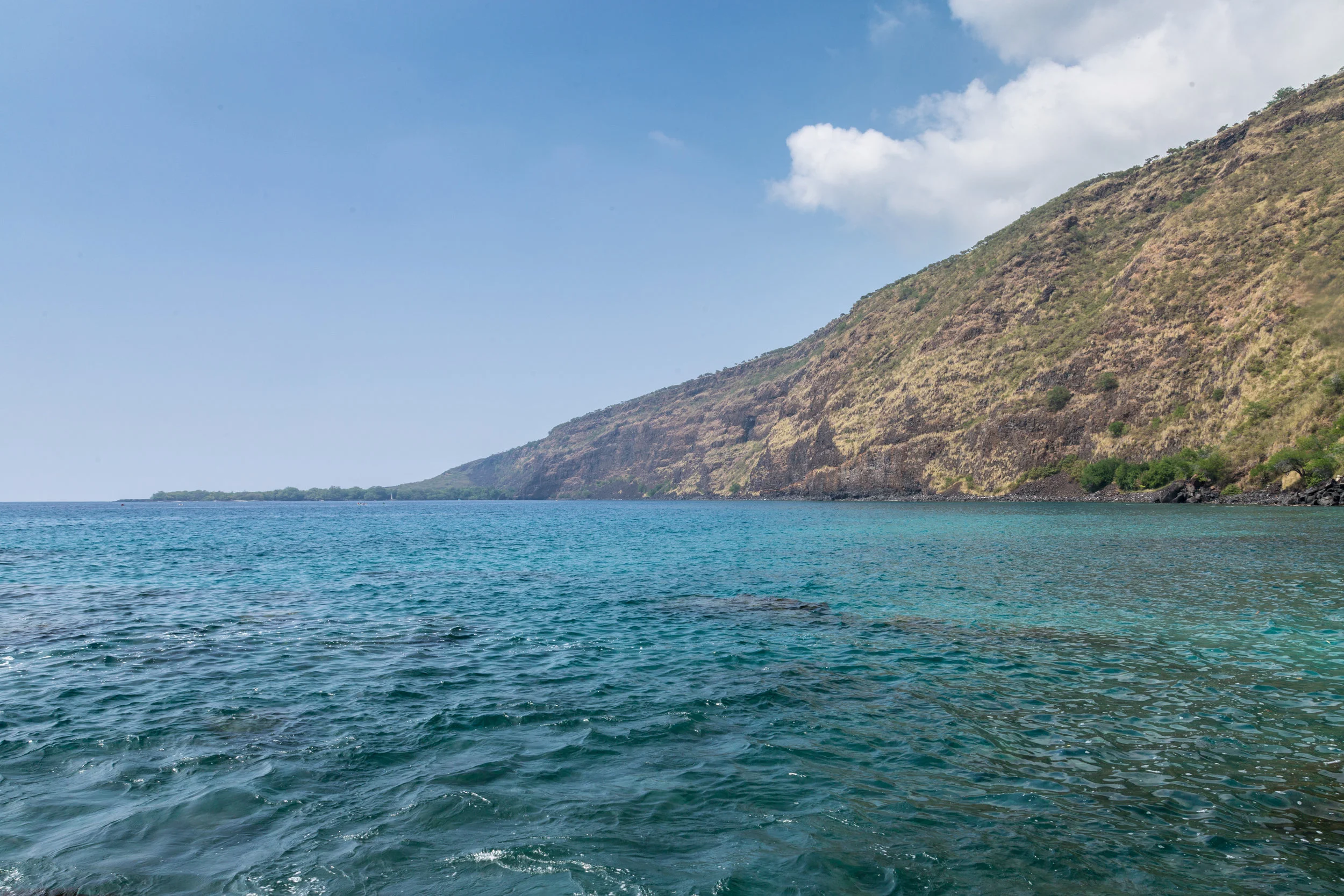 AdobeStock_124253154.jpeg