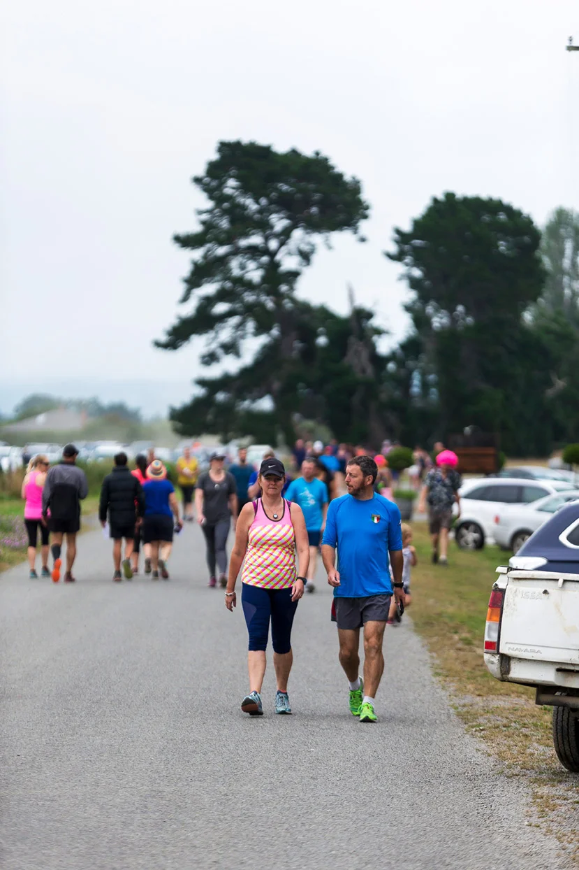 PegBay_VineRun_DM008.jpg
