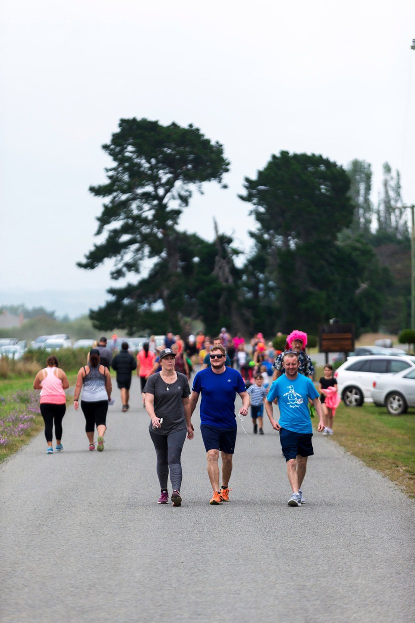 PegBay_VineRun_DM009.jpg
