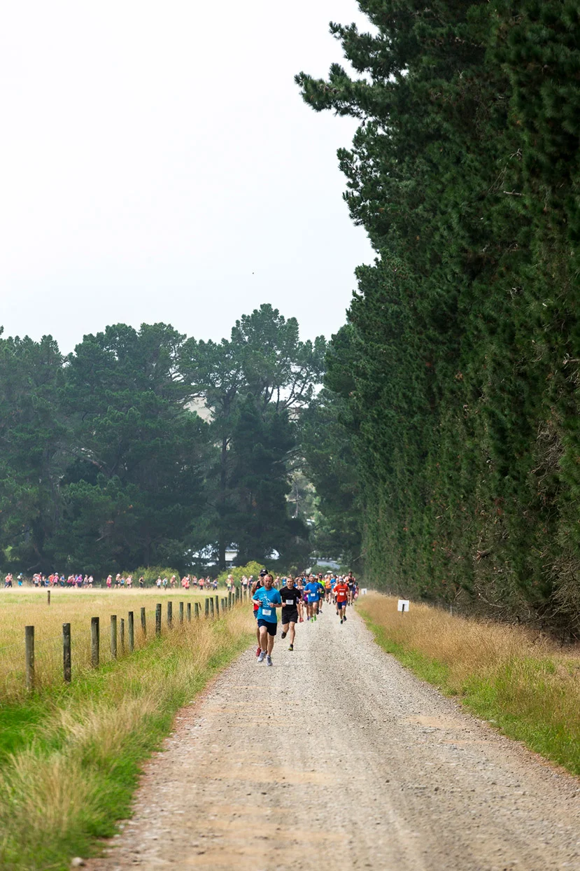 PegBay_VineRun_DM120.jpg