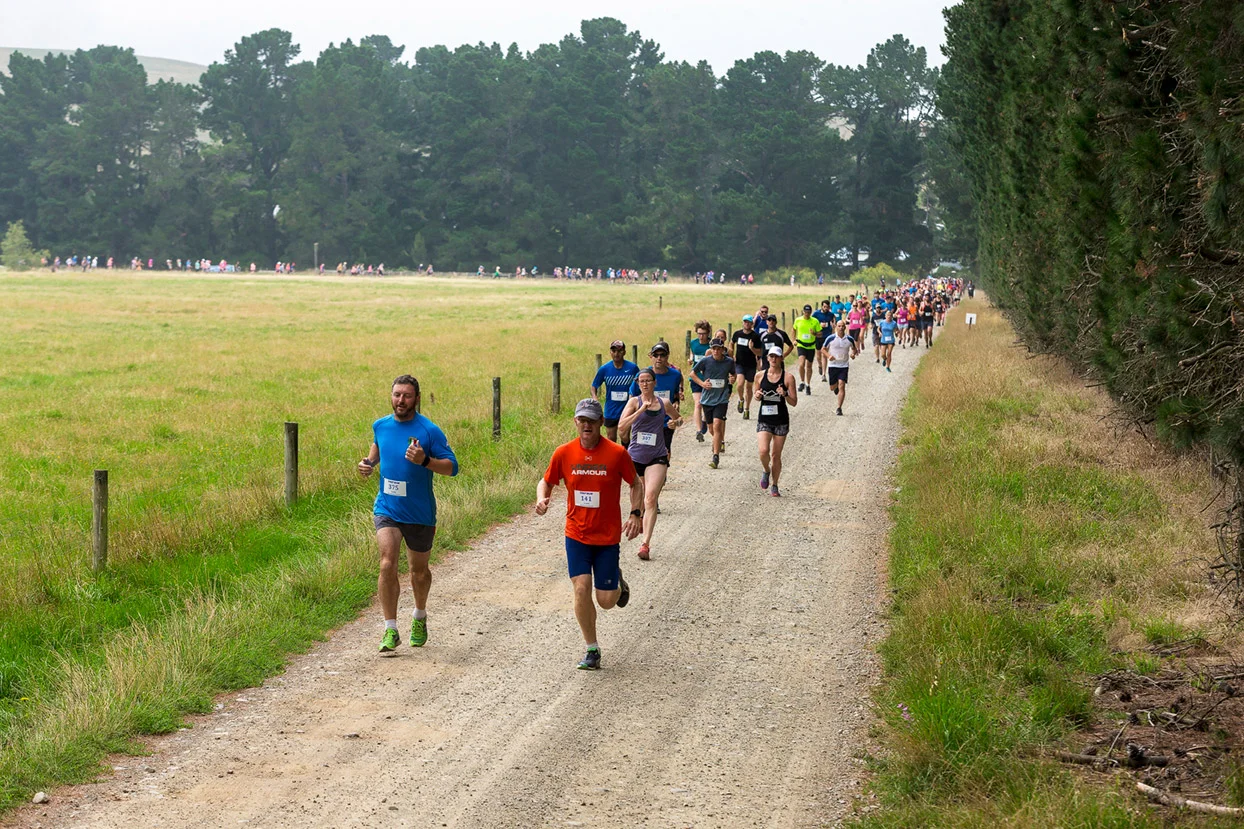 PegBay_VineRun_DM123.jpg