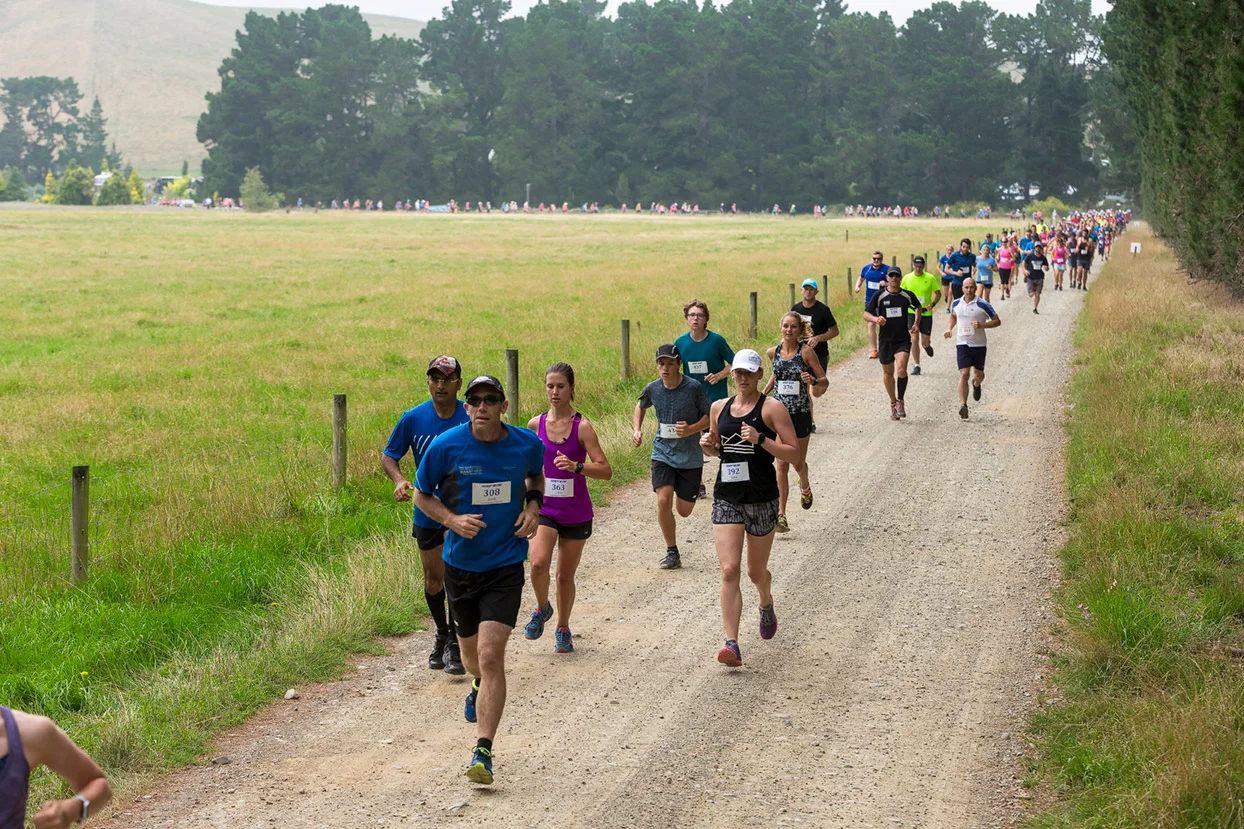 PegBay_VineRun_DM126.jpg