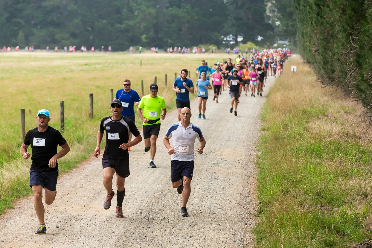 PegBay_VineRun_DM127.jpg