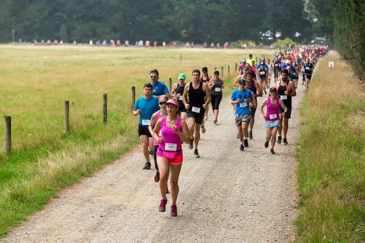 PegBay_VineRun_DM135.jpg