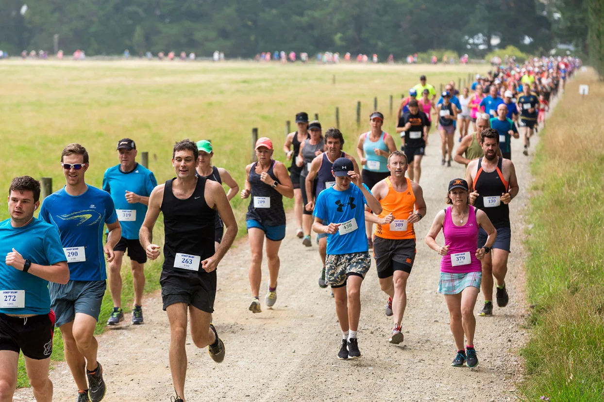 PegBay_VineRun_DM137.jpg