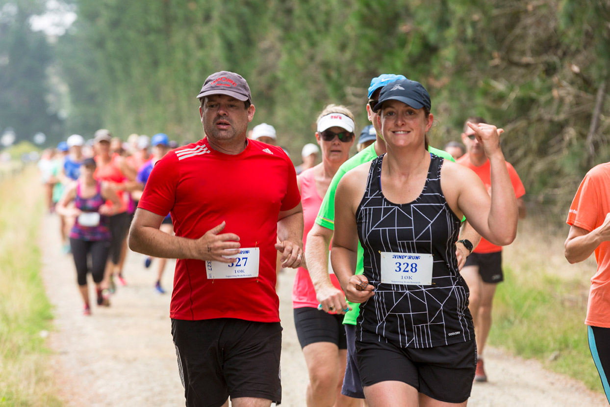 PegBay_VineRun_DM150.jpg