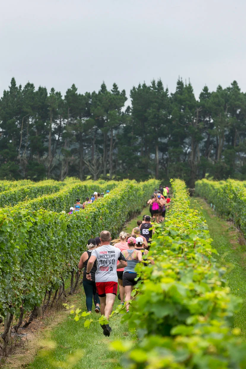 PegBay_VineRun_DM154.jpg