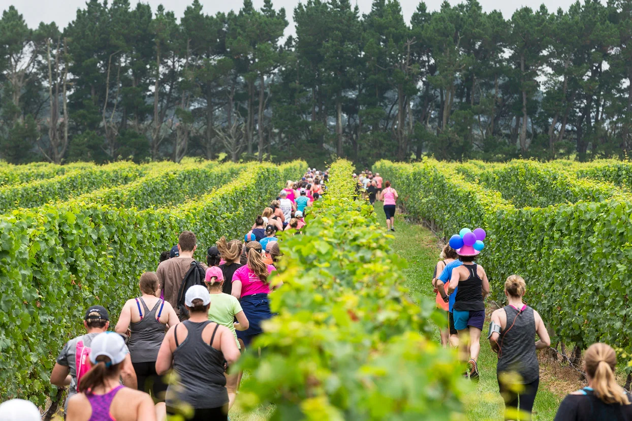 PegBay_VineRun_DM159.jpg