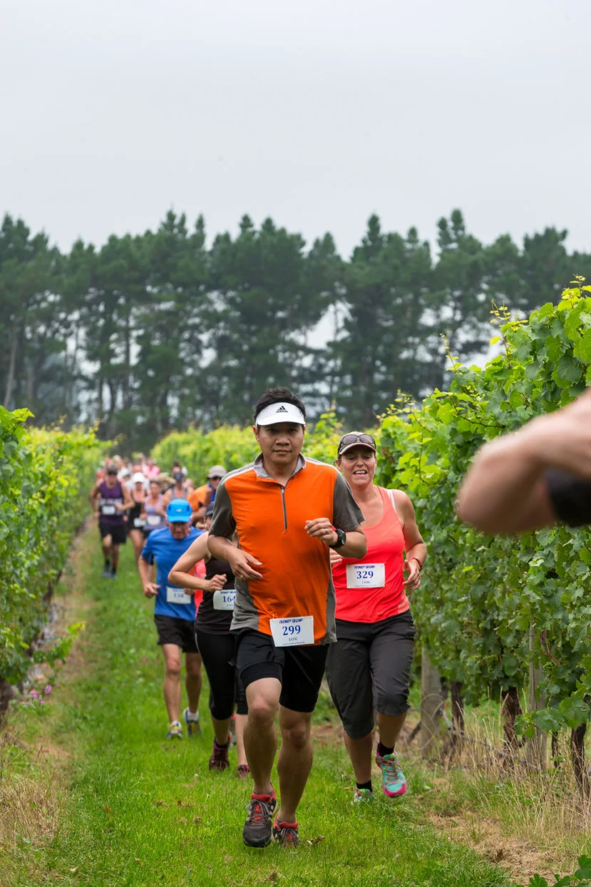 PegBay_VineRun_DM184.jpg