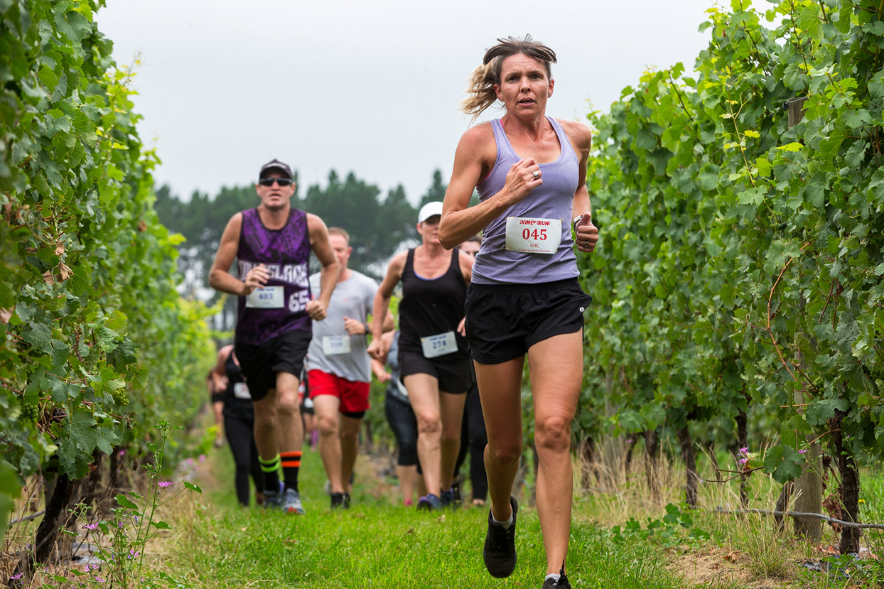 PegBay_VineRun_DM200.jpg