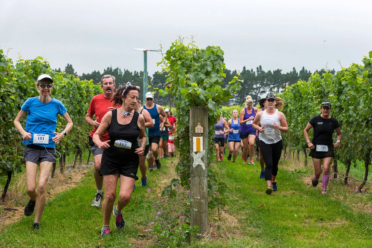 PegBay_VineRun_DM204.jpg