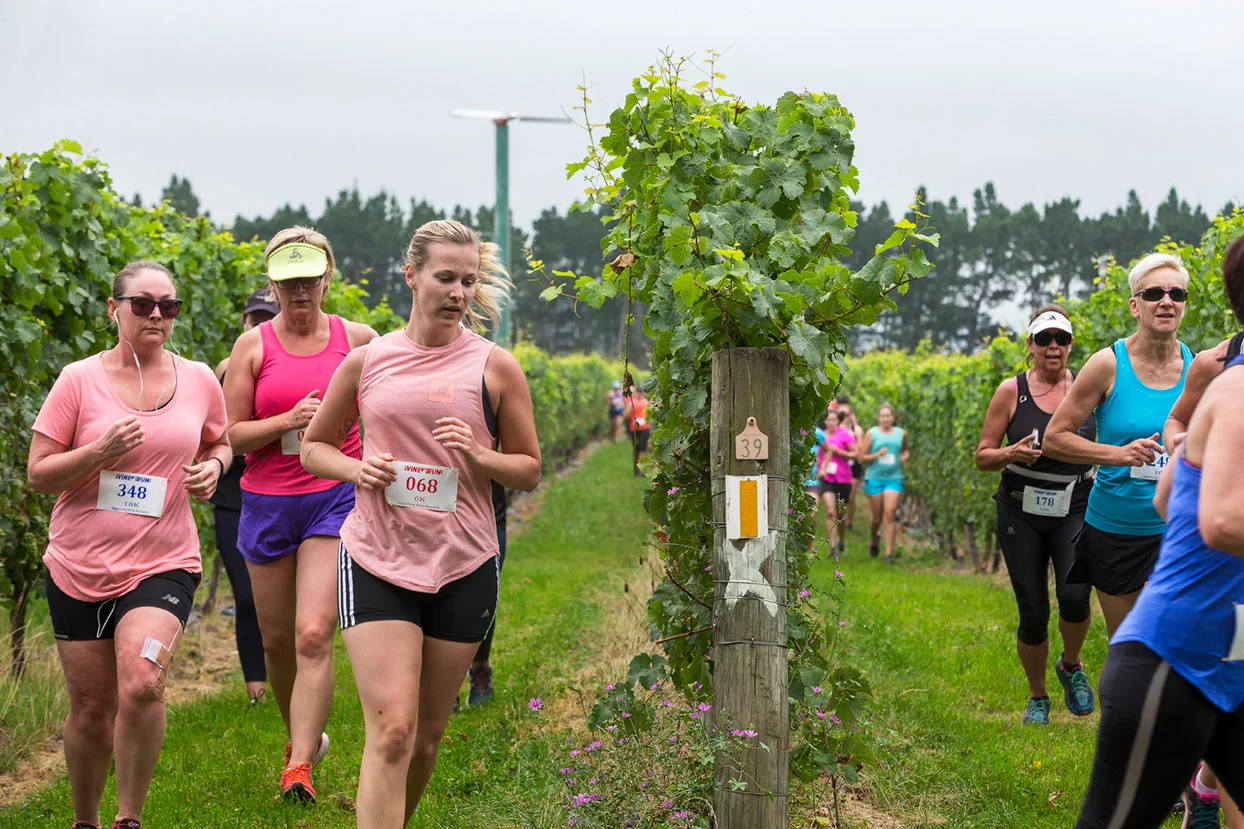 PegBay_VineRun_DM232.jpg