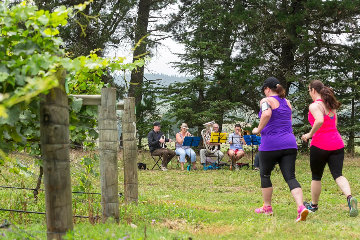 PegBay_VineRun_DM270.jpg