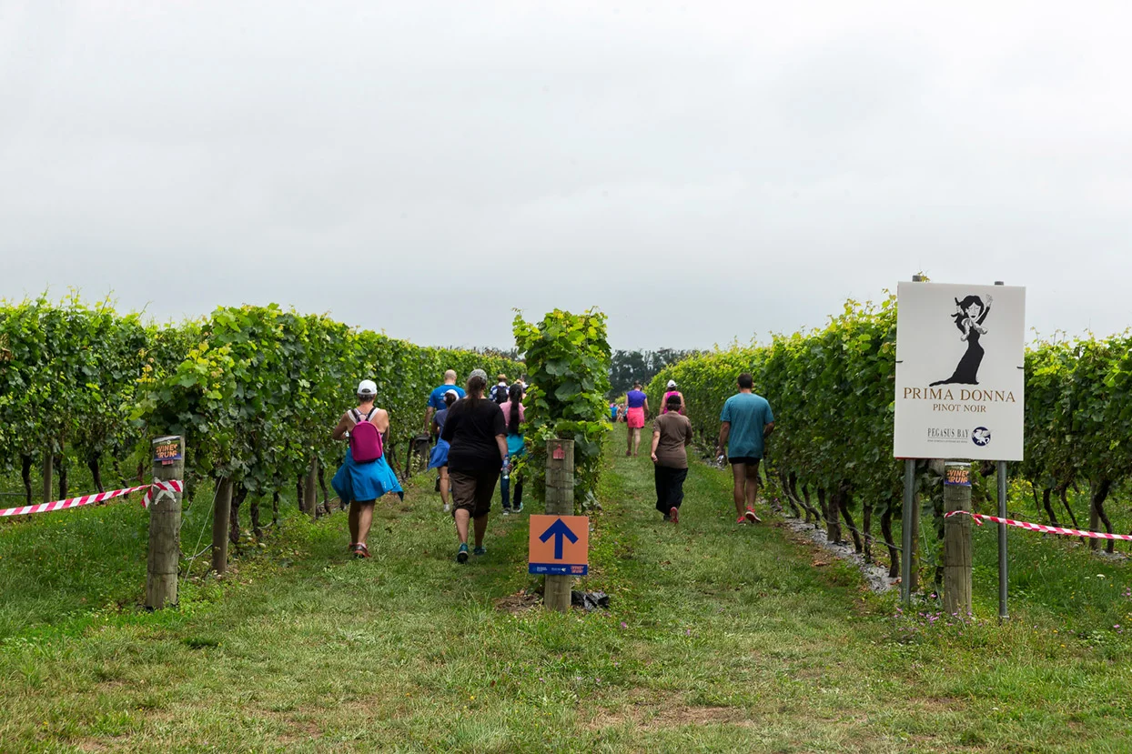 PegBay_VineRun_DM291.jpg