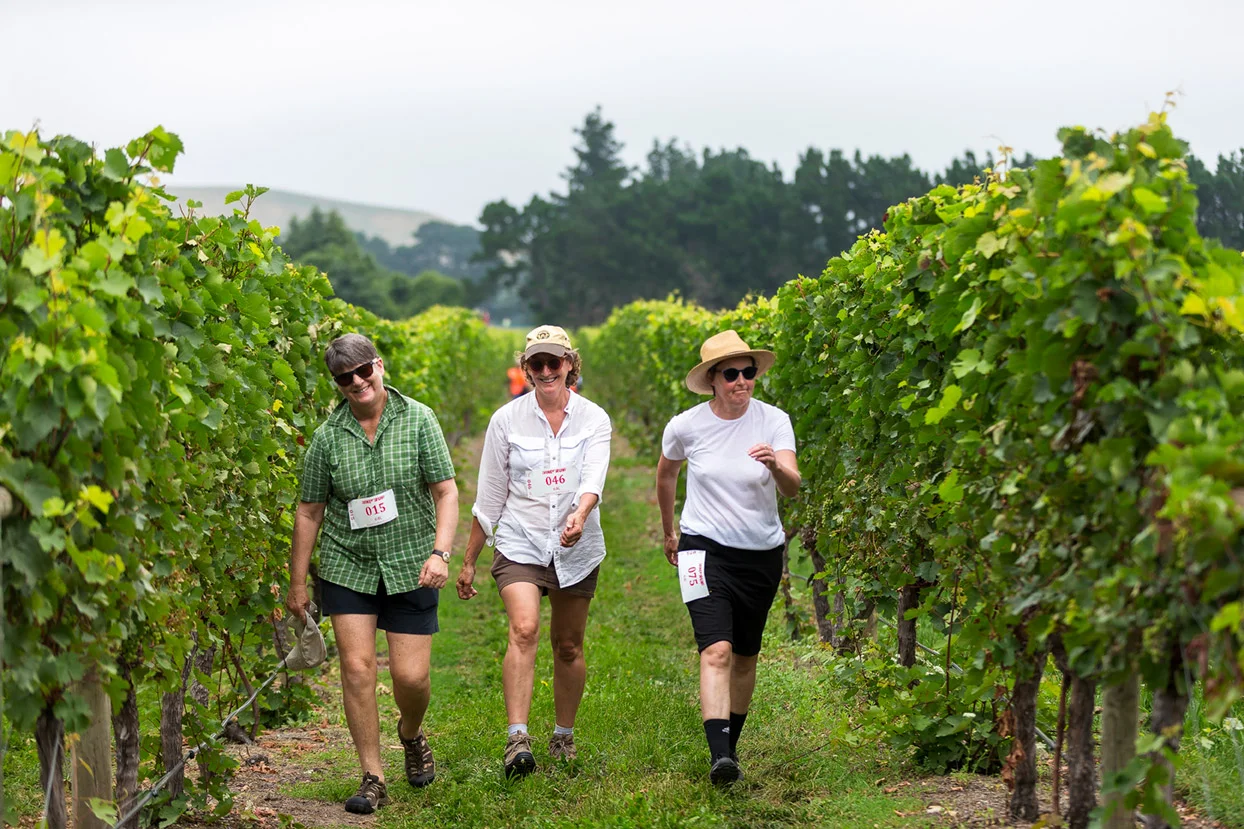PegBay_VineRun_DM311.jpg