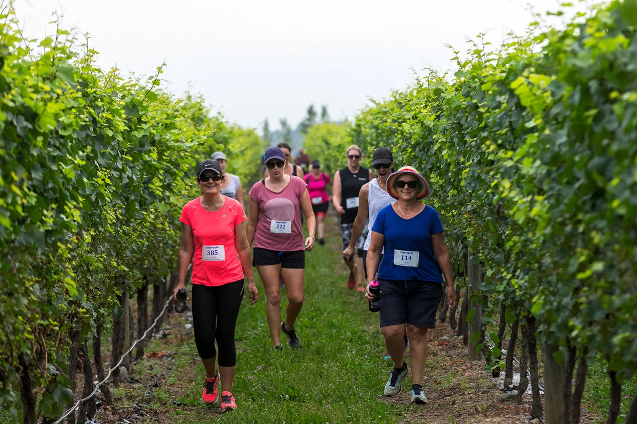 PegBay_VineRun_DM374.jpg