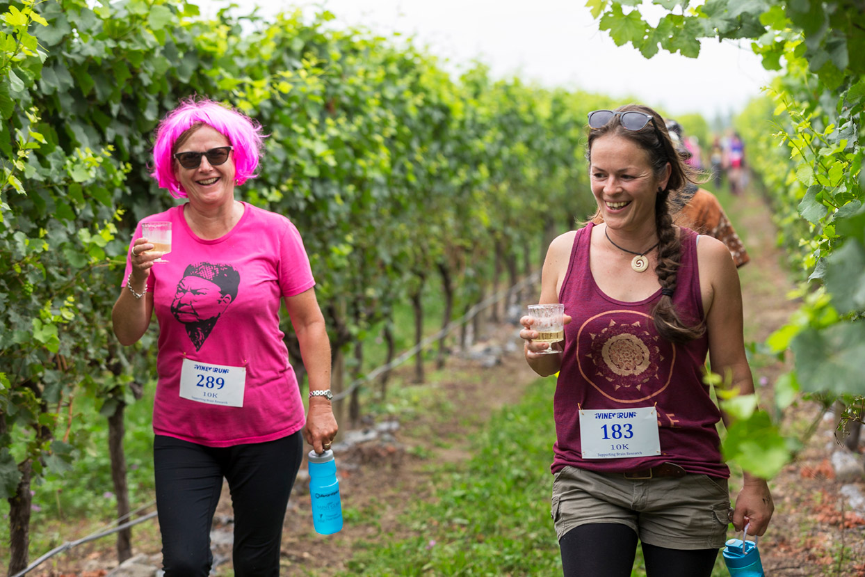 PegBay_VineRun_DM420.jpg