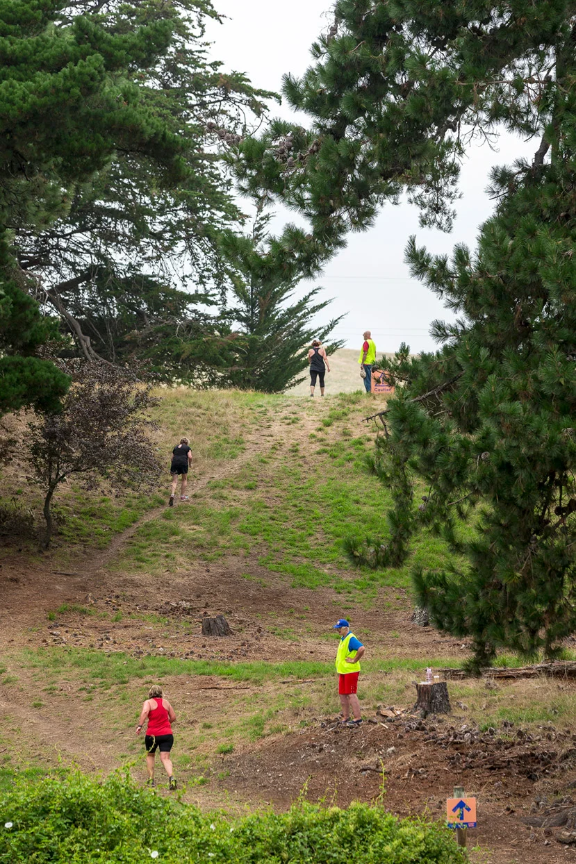 PegBay_VineRun_DM444.jpg