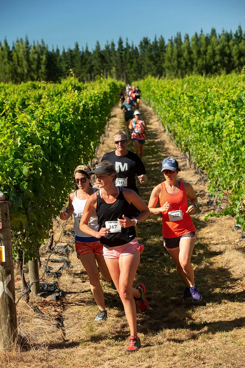 Pegbay_2019_Vinerun_016.jpg
