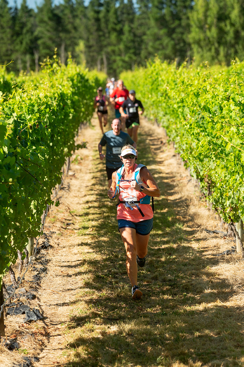 Pegbay_2019_Vinerun_017.jpg