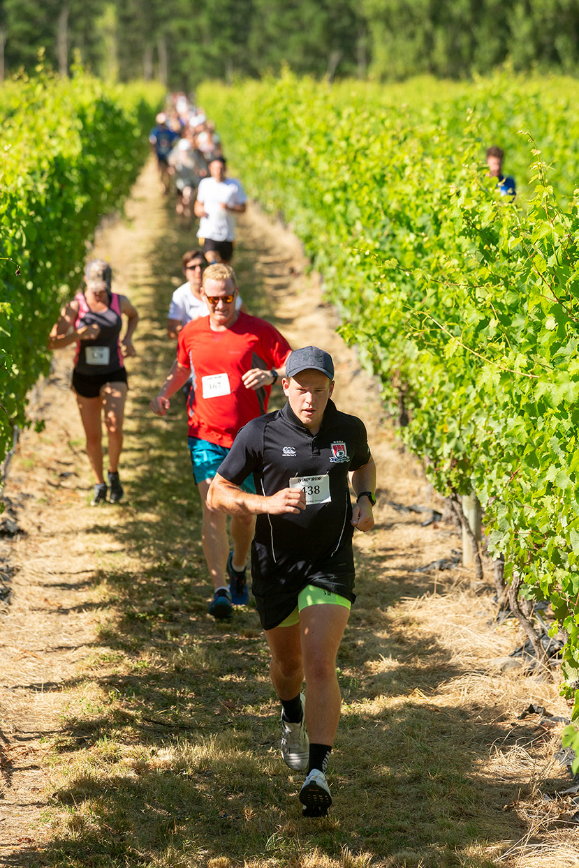 Pegbay_2019_Vinerun_020.jpg