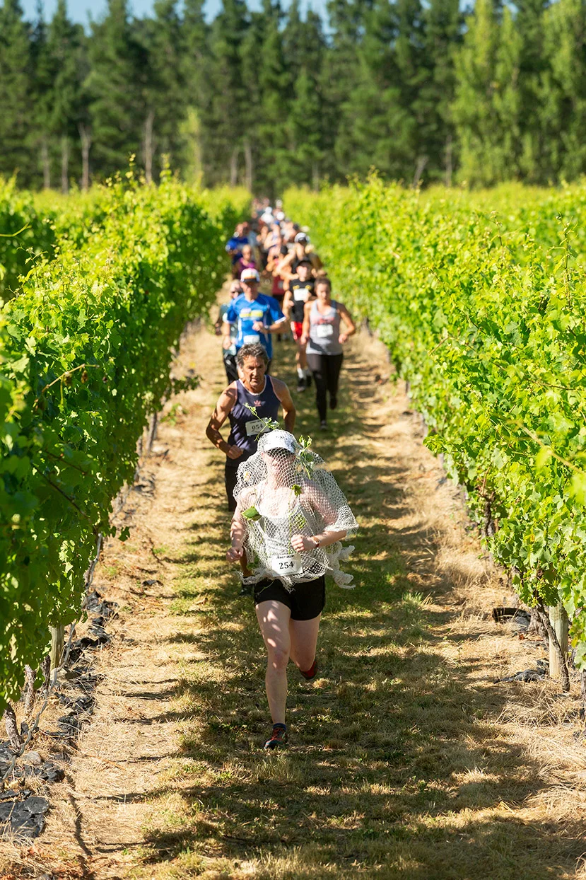 Pegbay_2019_Vinerun_021.jpg