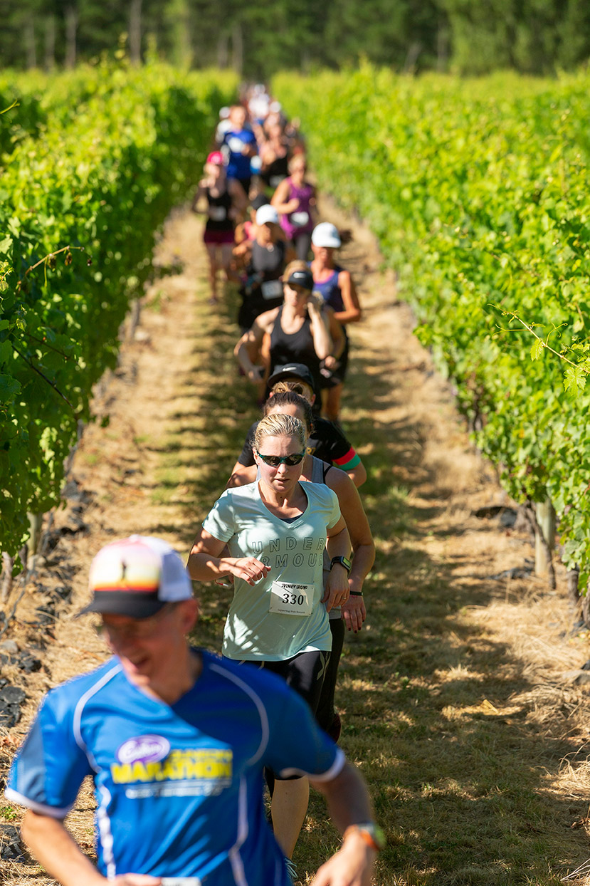 Pegbay_2019_Vinerun_025.jpg